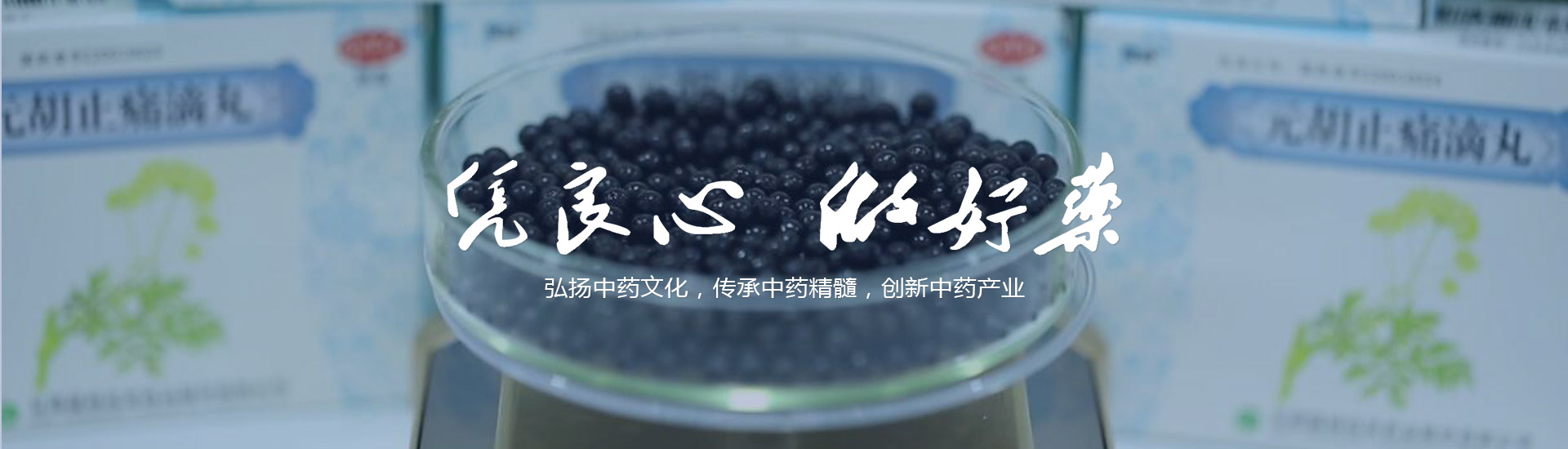 һ˶ֻͼ