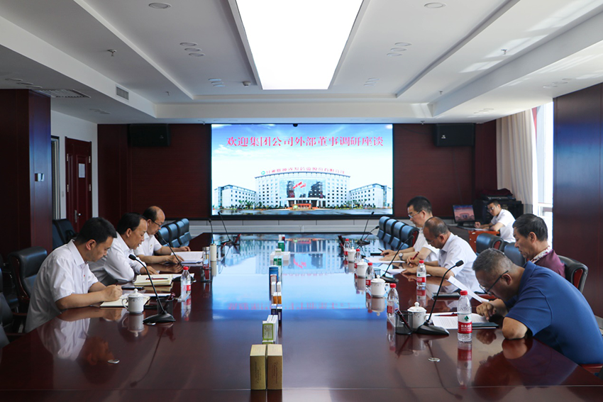 甘肃药业集团外部董事到必一运动召开调研座谈会