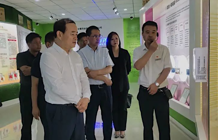 甘肃药业集团与甘肃文旅集团莅临必一运动开展交流座谈