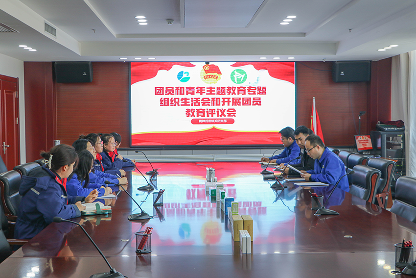奋楫笃行守初心 砥砺奋进新征程 | 必一运动团总支组织开展团员和青年主题教育专题组织生活会