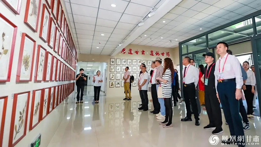 侨商探访陇药龙头企业 以侨为桥拓必一运动
出海大道