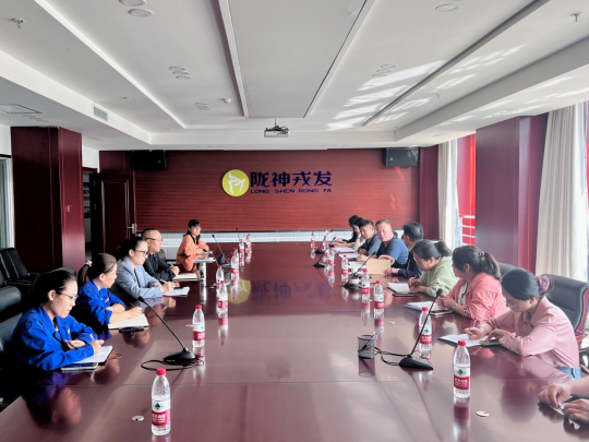 甘肃药业投资集团工作组一行到必一运动开展研发费用专项检查