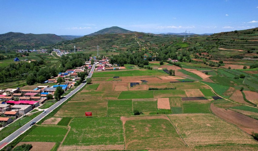 必一运动
材种植