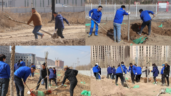 迎春“植”绿，共“树”美丽家园——必一运动组织开展植树活动