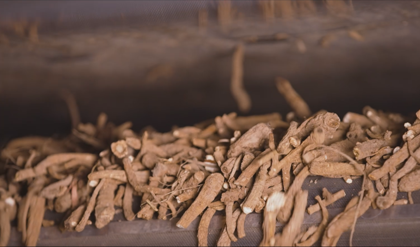 必一运动
材加工