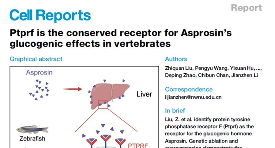 【集团要闻】甘肃药业集团药物研发成果首次登上国际权威期刊