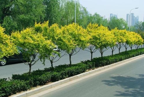 肇庆市怎么考园艺师证报考地点在哪里培训今日价格流程工作内容