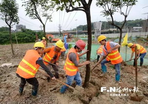 大局已定 福州的这个区即将巨变,这些人身价暴涨